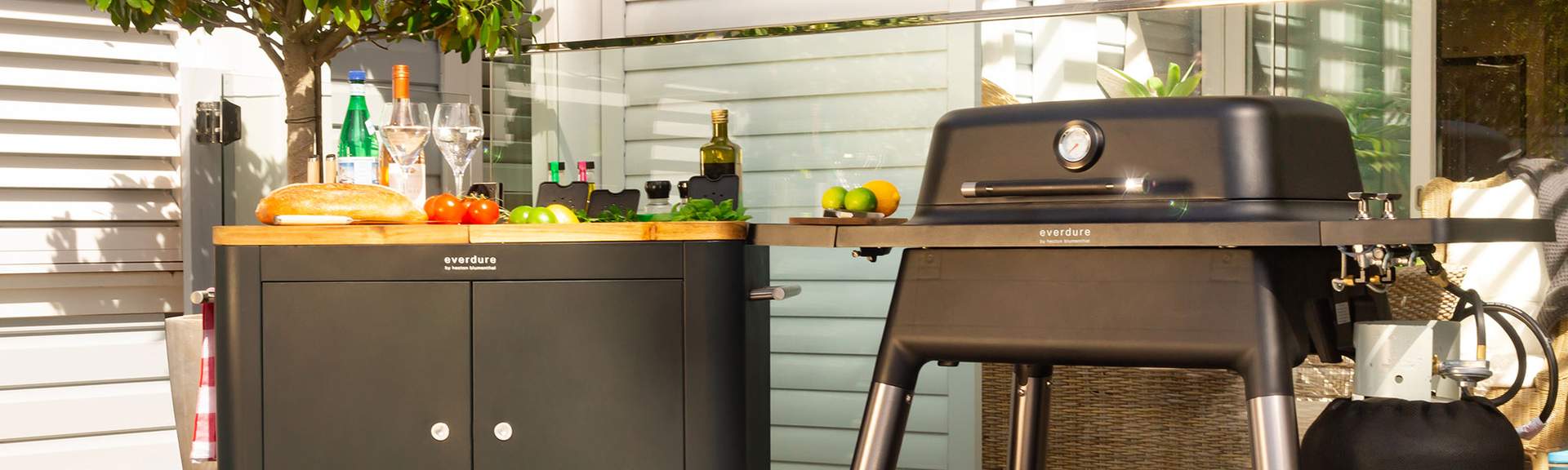 Everdure rotisserie