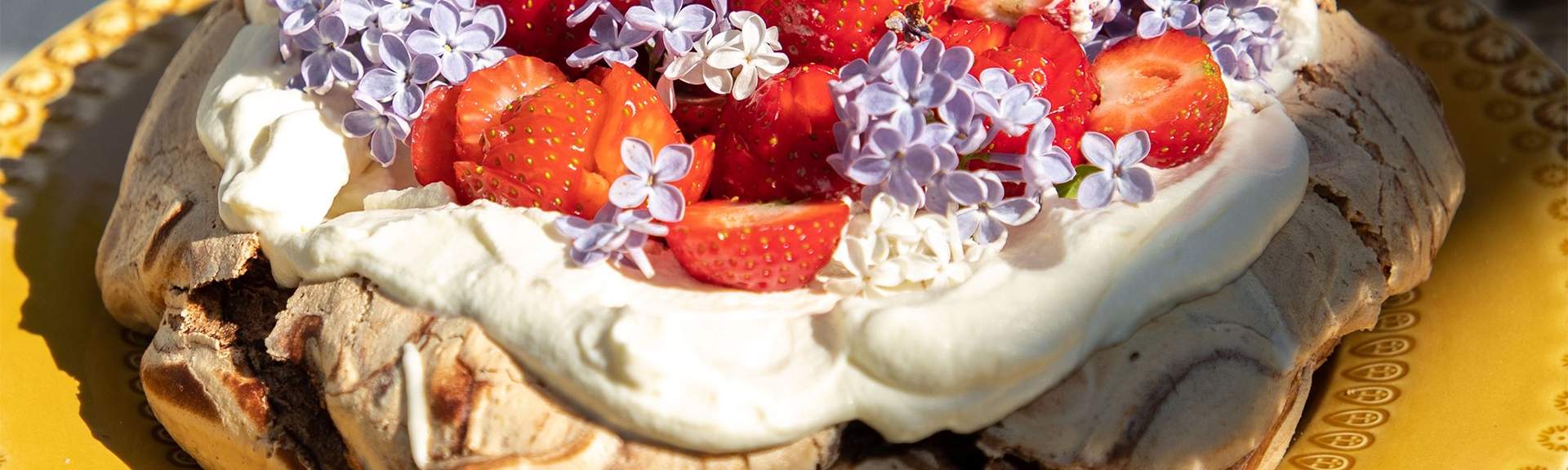 Picknick med Dietistensval