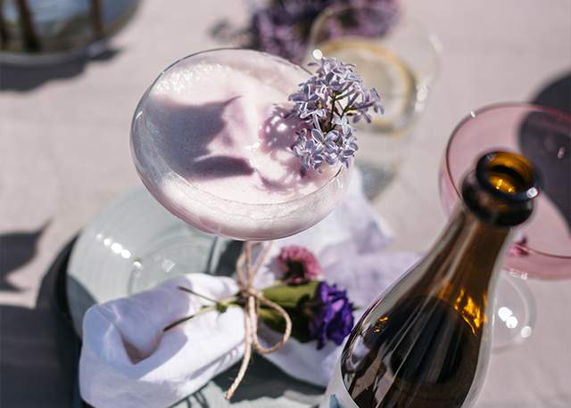 Syrén- & Rabarbersorbet